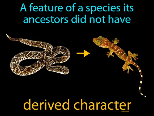 a feature of a species its ancestors did not have