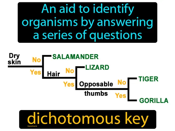 an aid to identify organisms by answering a series of questions