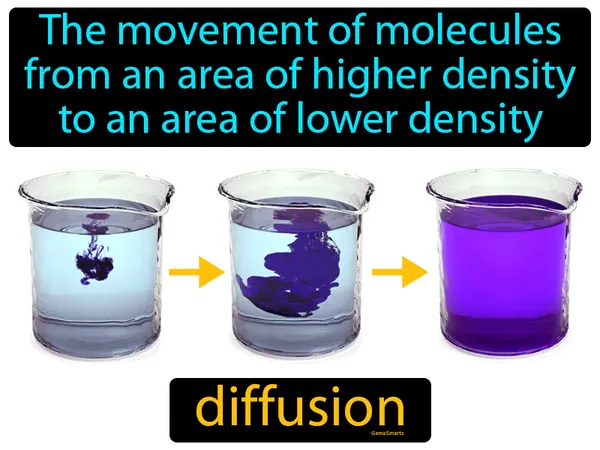 the movement of molecules from an area of higher density to an area of lower density