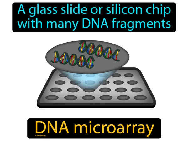 a glass slide or silicon chip with many DNA fragments