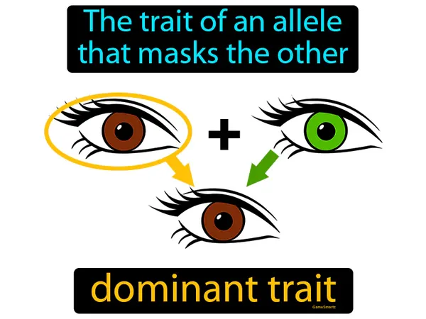 a trait of an allele that masks the other trait
