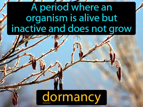 a period where an organism is alive but inactive and does not grow