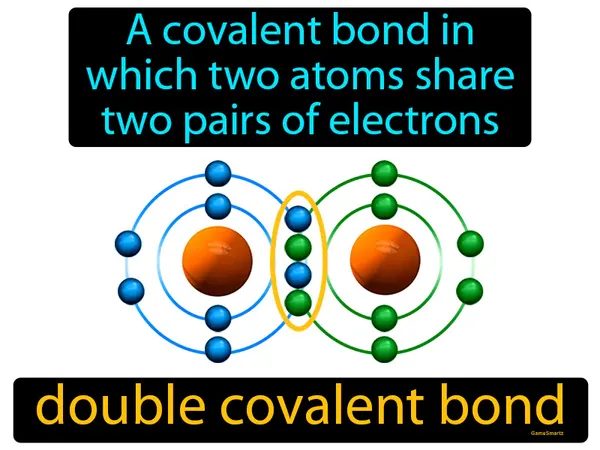 a covalent bond in which two atoms share two pairs of electrons
