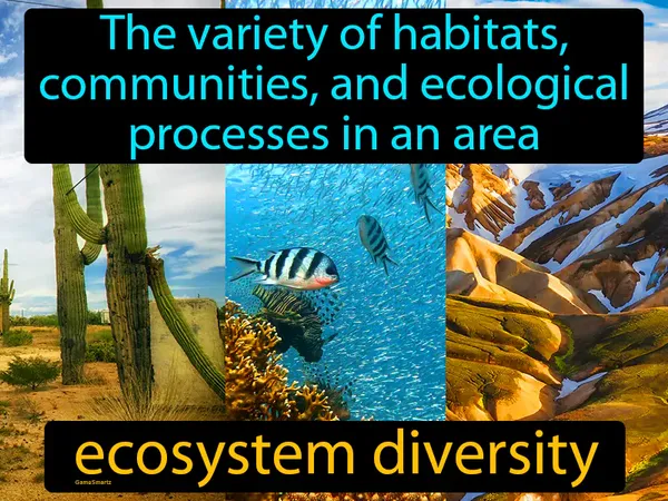 the variety of habitats, communities, and ecological processes in an area