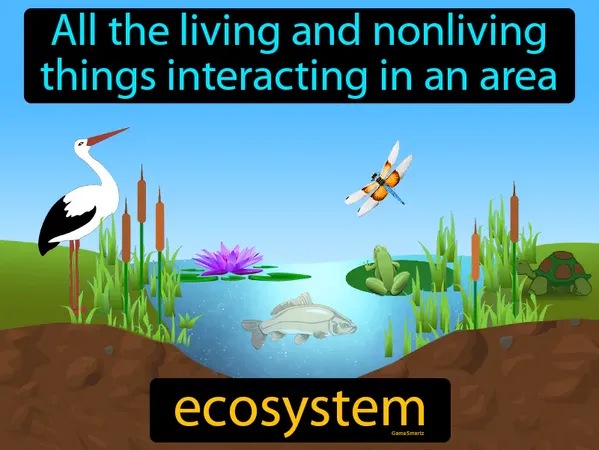 all the living and nonliving things interacting in an area