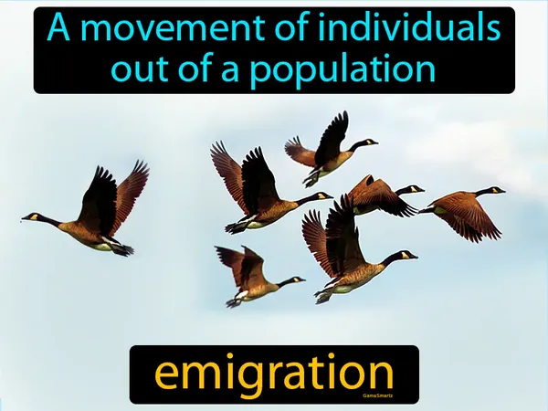 a movement of individuals out of a population