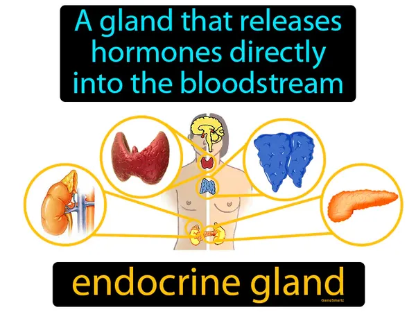 a gland that releases hormones directly into the bloodstream