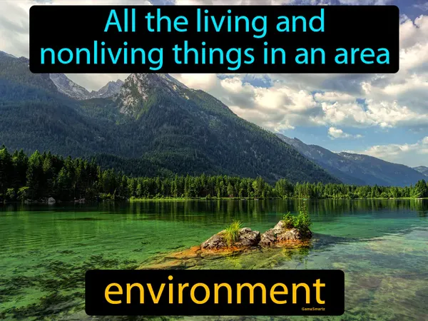 all the living and nonliving things in an area