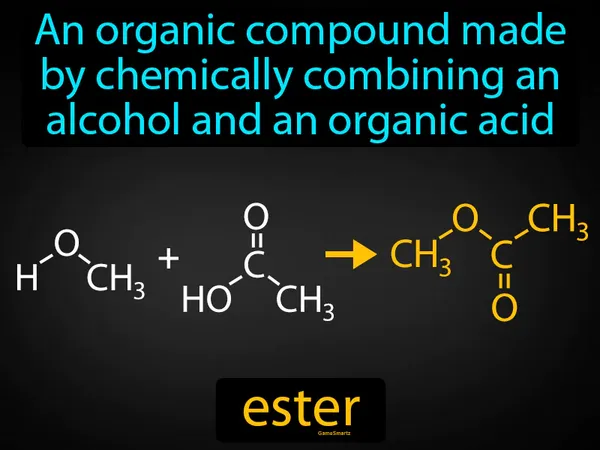 an organic compound made by chemically combining an alcohol and an organic acid