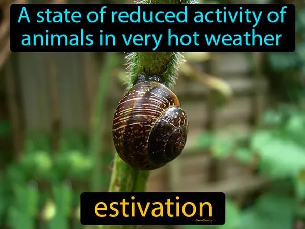 a state of reduced activity of animals in very hot weather