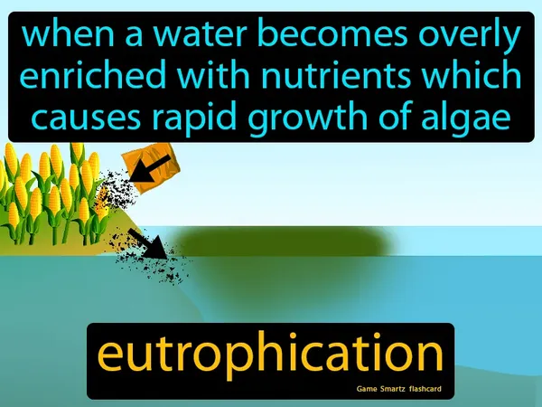 When a water becomes overly enriched with nutrients which causes rapid growth of algae