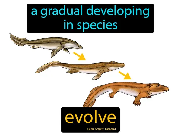 A gradual developing in species