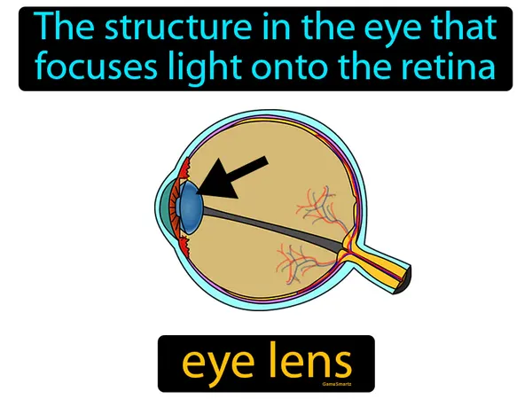 the structure in the eye that focuses light onto the retina