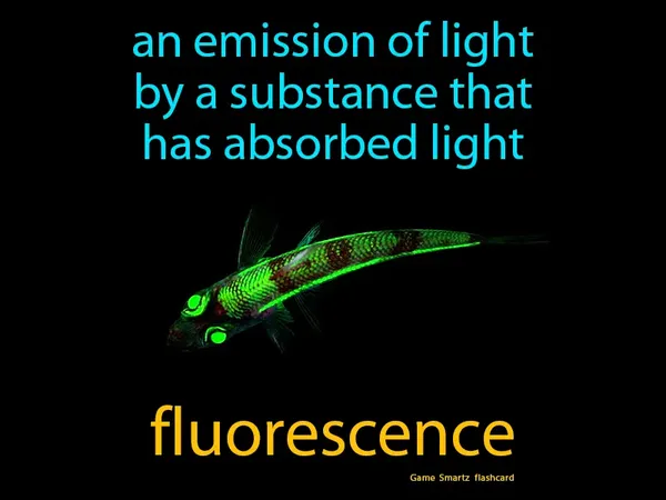 An emission of light by a substance that has absorbed light