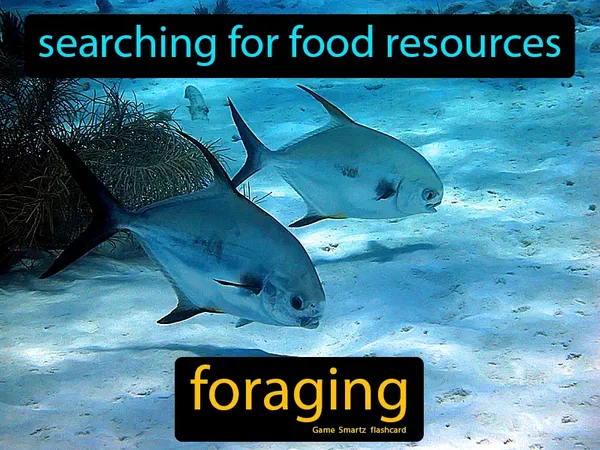 Searching for wild food resources