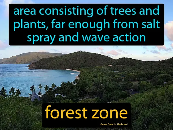 Area consisting of trees and plants, far enough from salt spray and wave action