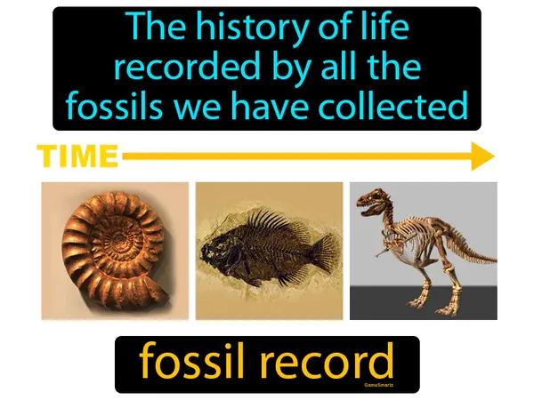 the history of life recorded by all the fossils we have collected