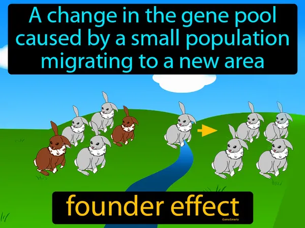 a change in the gene pool caused by a small population migrating to a new area