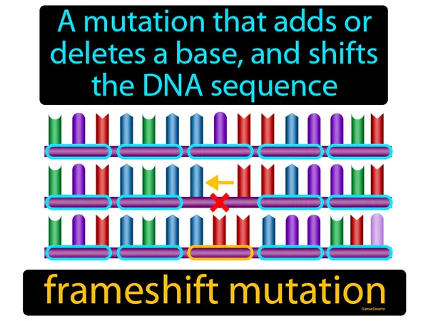 a mutation that adds or deletes a base, and shifts the DNA sequence