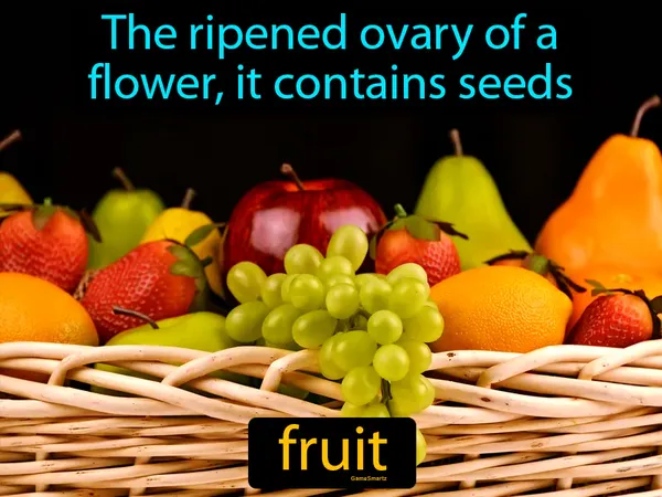 the ripened ovary of a flower, it contains seeds