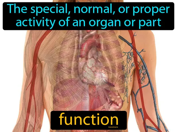 the special, normal, or proper activity of an organ or part