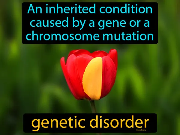 an inherited condition caused by a gene or a chromosome mutation