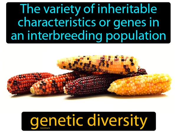 The variety of inheritable characteristics or genes in an interbreeding population