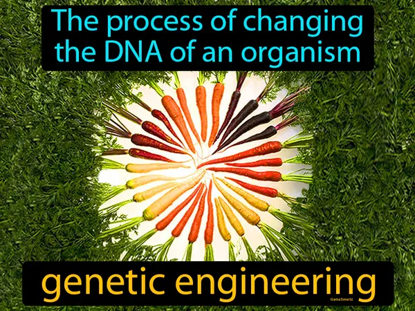 the process of changing the DNA of an organism
