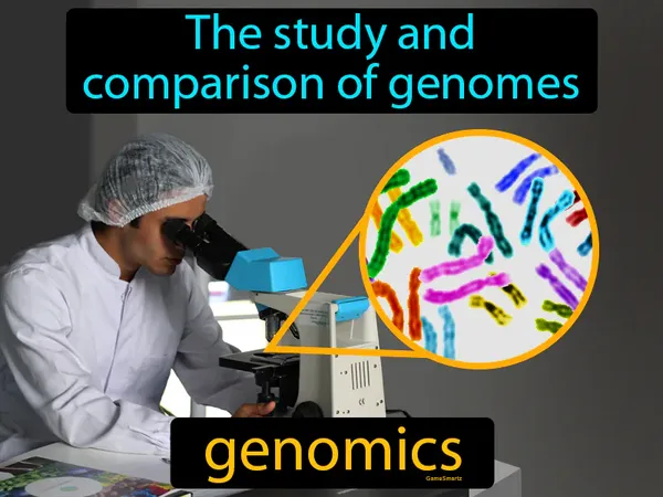 the study and comparison of genomes