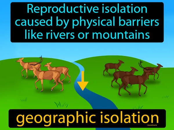 reproductive isolation caused by physical barriers like rivers or mountains