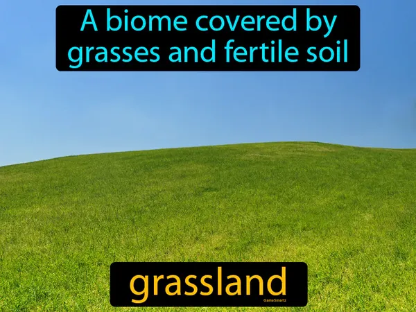 a biome covered by grasses and fertile soil