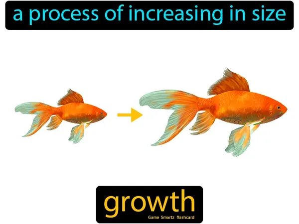 A process of increasing in size