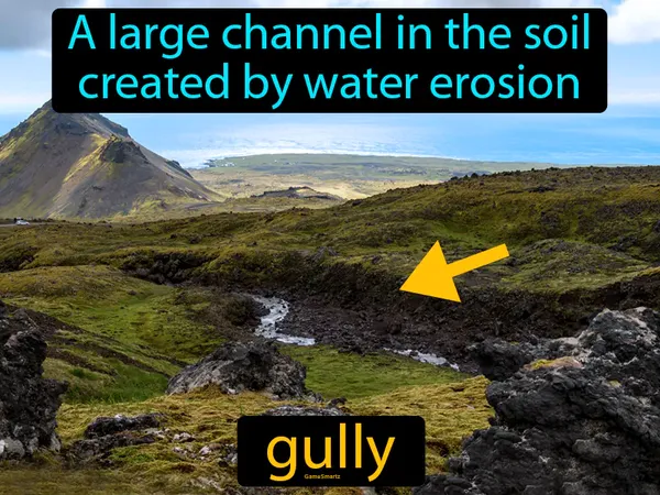 a large channel in soil created by water erosion