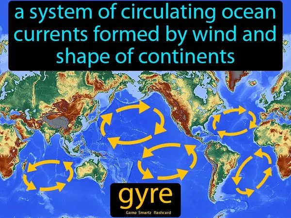 A system of circulating ocean currents formed by wind and shape of continents