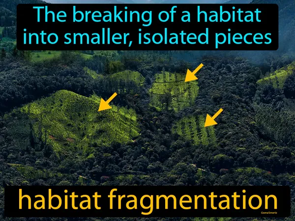the breaking of a habitat into smaller, isolated pieces