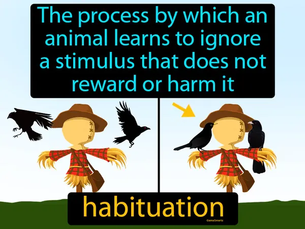 the process by which an animal learns to ignore a stimulus that does not reward or harm it