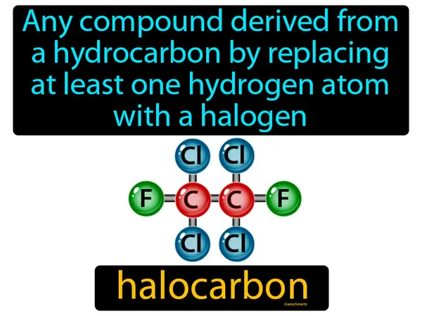 any compound derived from a hydrocarbon by replacing at least one hydrogen atom with a halogen