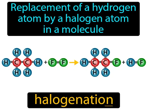 replacement of a hydrogen atom by a halogen atom in a molecule