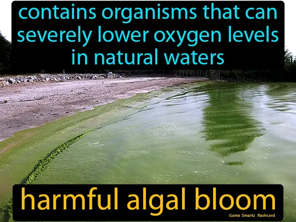 Contains organisms that can severely lower oxygen levels in natural waters