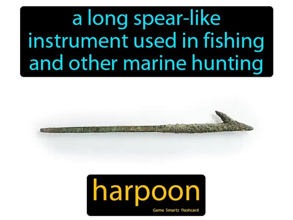 A long spear-like instrument used in fishing and other marine hunting