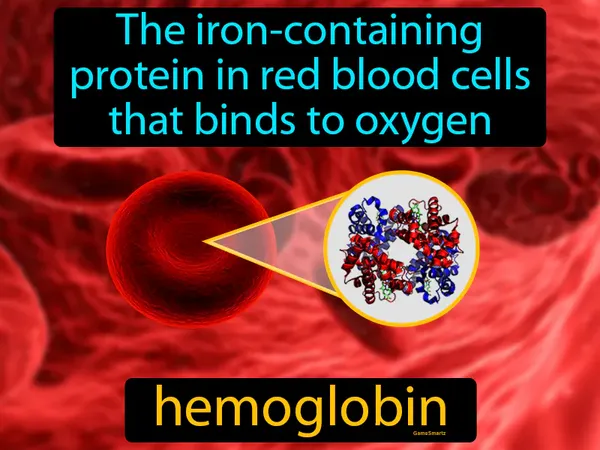 the iron-containing protein in red blood cells that binds to oxygen
