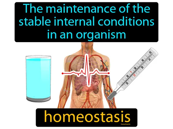 The maintenance of the stable internal conditions in an organism