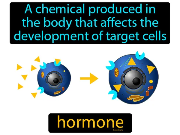 a chemical produced in the body that affects the development of target cells