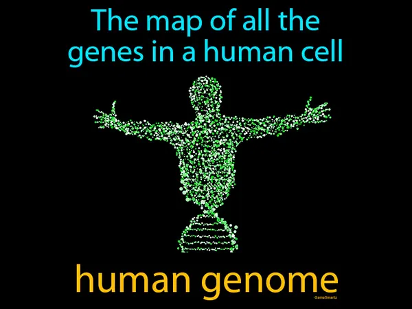 the map of all the genes in a human cell