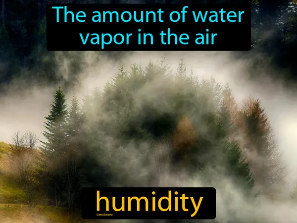 the amount of water vapor in the air