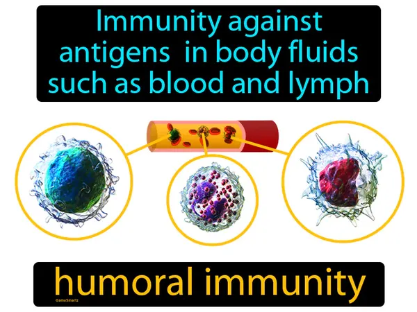 immunity against antigens in body fluids such as blood and lymph