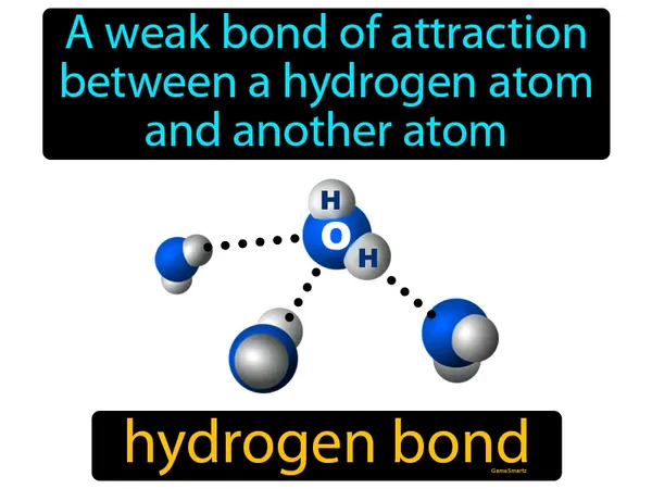 a weak bond of attraction between a hydrogen atom and another atom