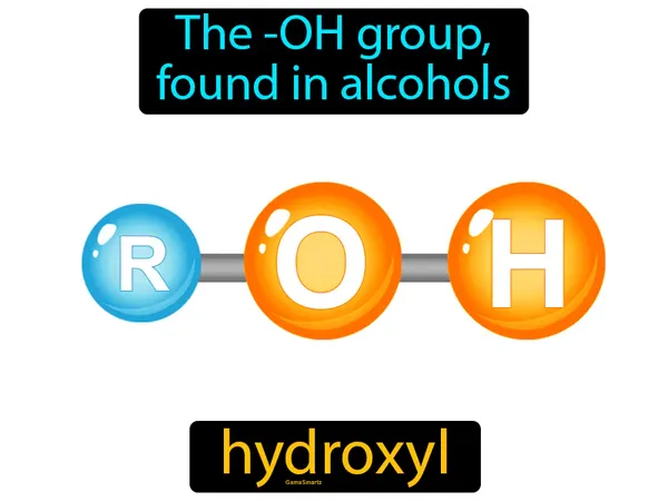 the -OH group, found in alcohols