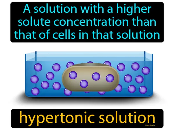 a solution with a higher solute concentration than that of cells in that solution