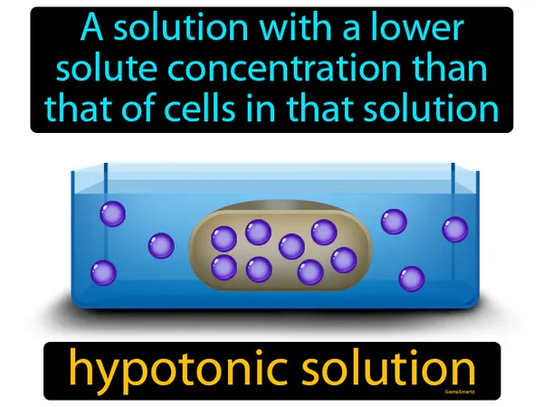 a solution with a lower solute concentration than that of cells in that solution